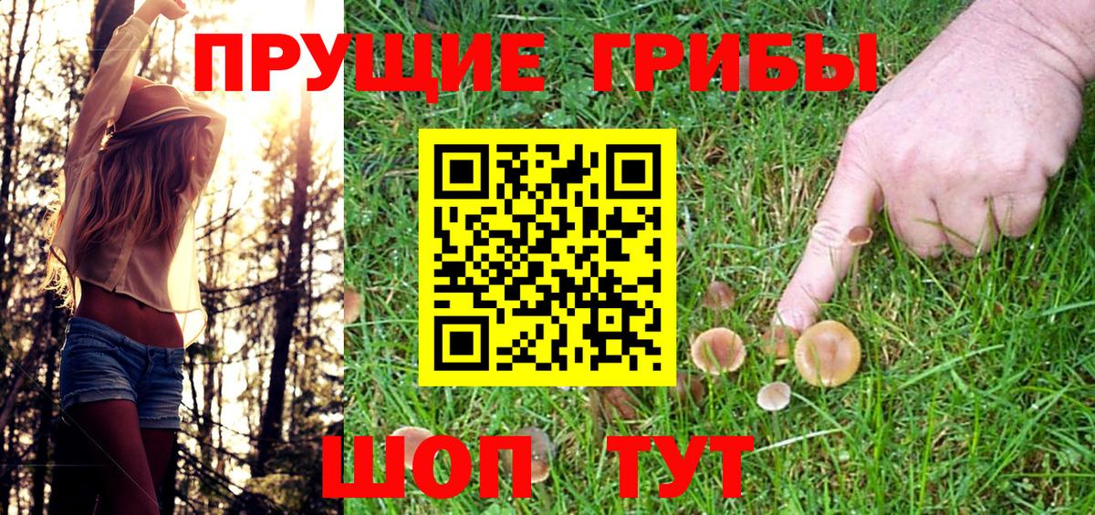 Анжеро-Судженск  Псилоцибиновые грибы MAGIC MUSHROOMS  Вход с VPN  Псилоцибиновые грибы Psilocybe 