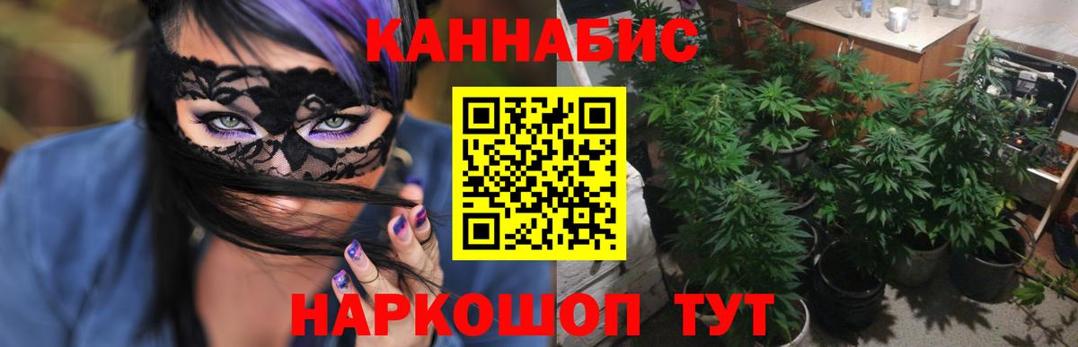 Анжеро-Судженск  Конопля марихуана  Марихуана MAZAR  Бошки марихуана тримм  Вход с VPN  МАРИХУАНА Bruce Banner 
